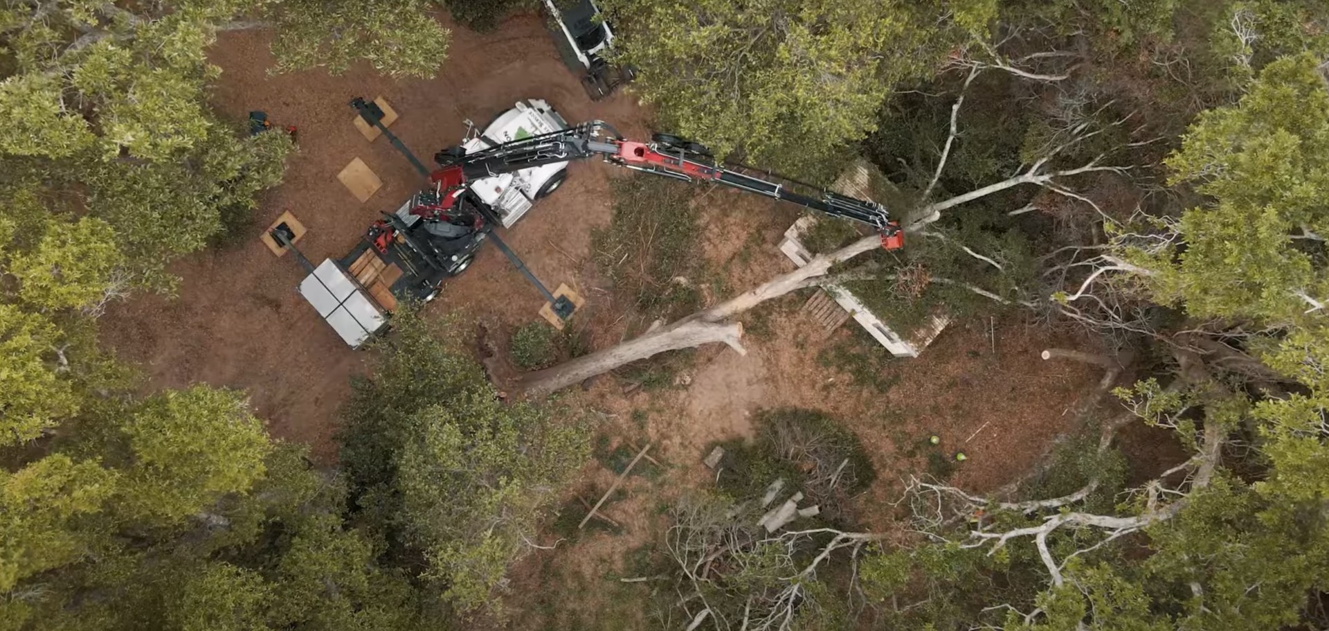 Heavy machinery performing stump grinding and land clearing in Blaine
