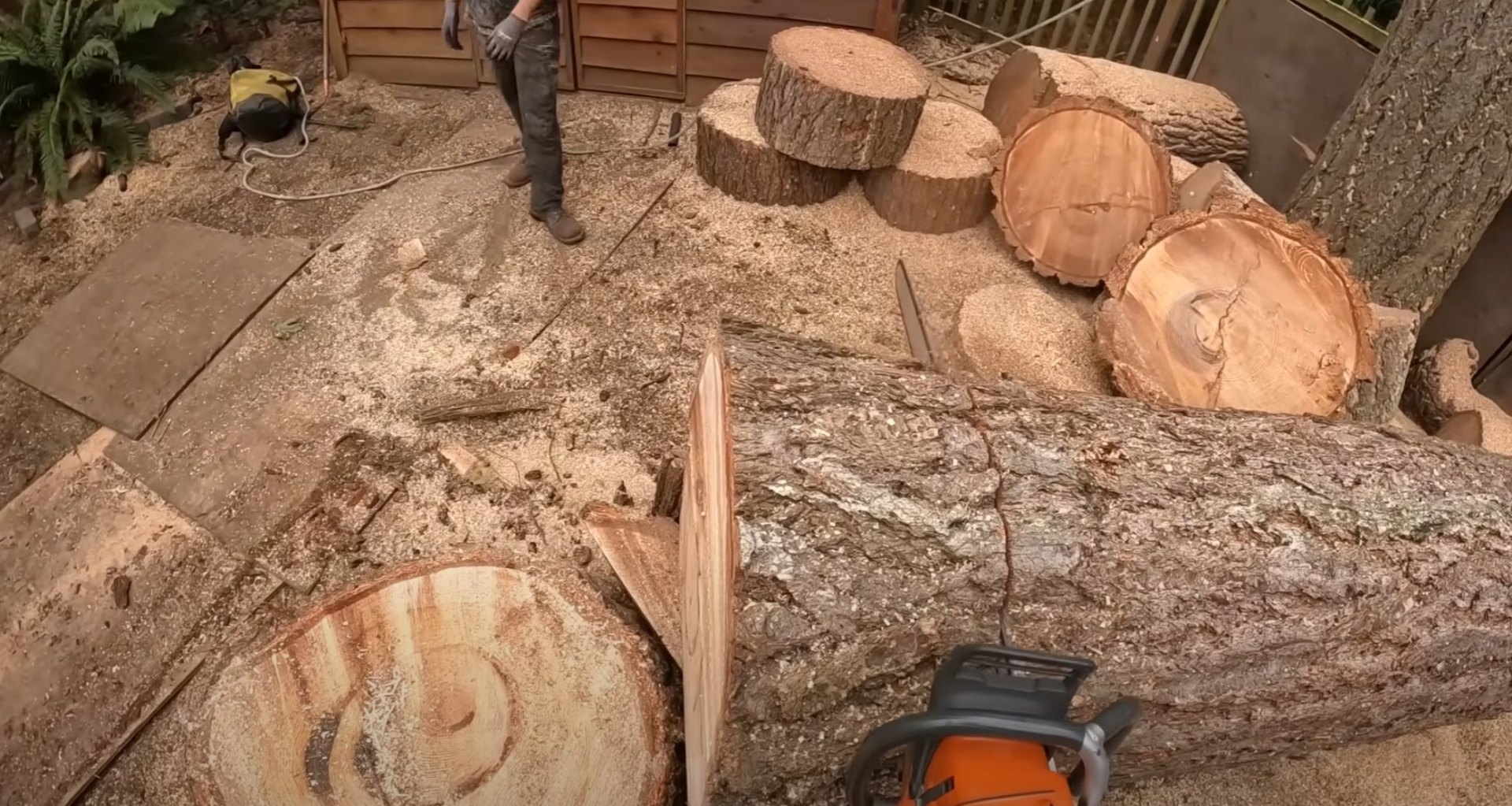 Tree cutting and wood processing services in Blaine, Minnesota
