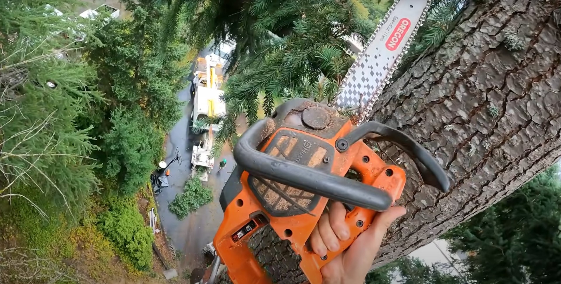 Arborist using chainsaw for precise tree trimming from elevated position