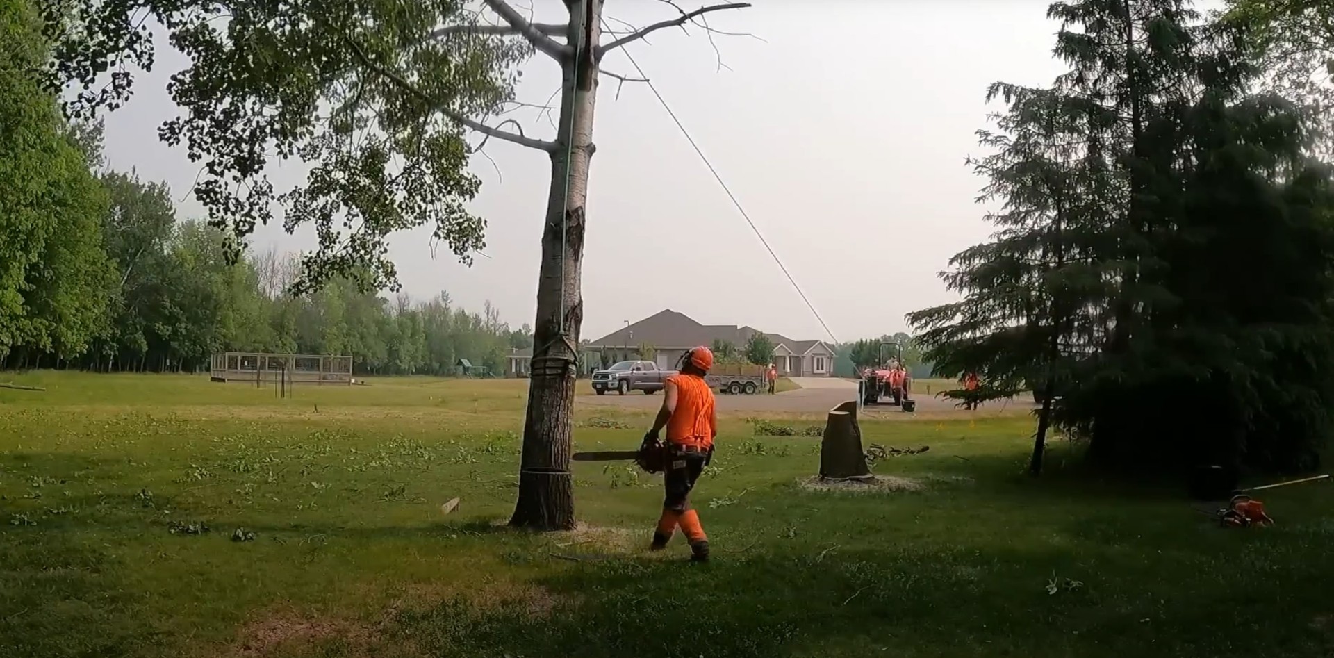 Tree removal and stump grinding services in Blaine, Minnesota