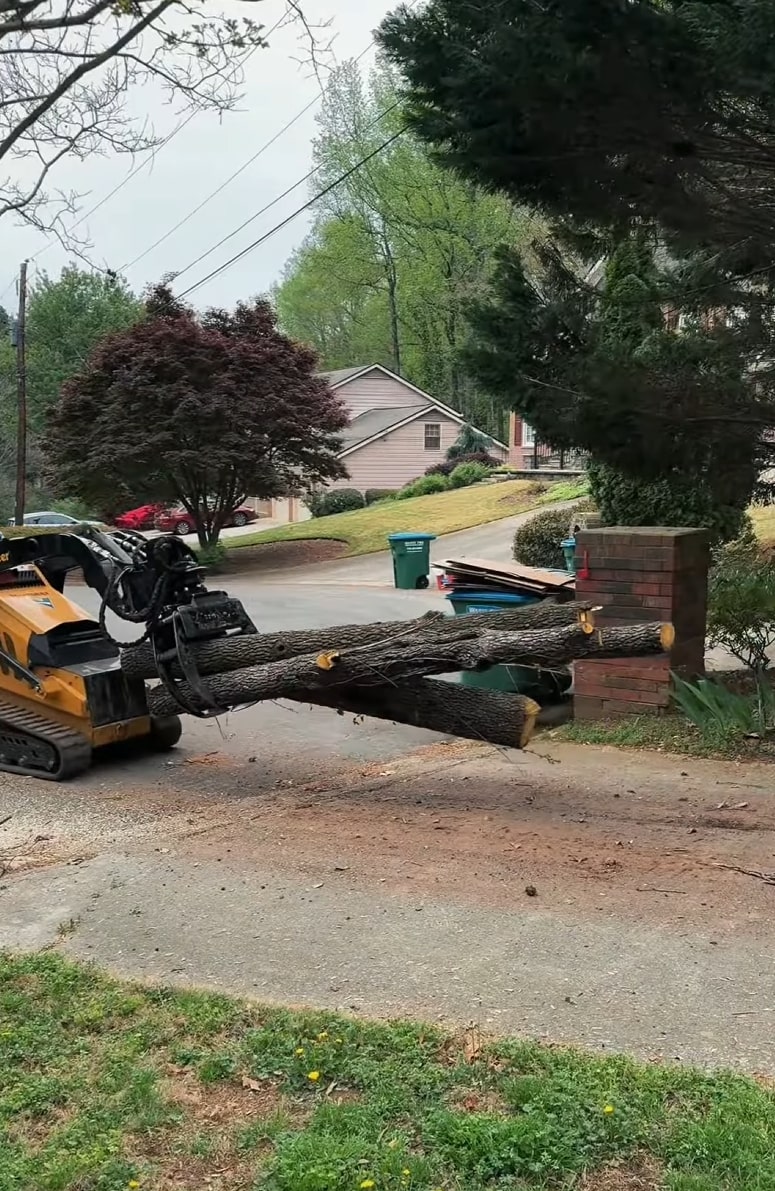 Heavy machinery moving large tree logs during professional tree removal