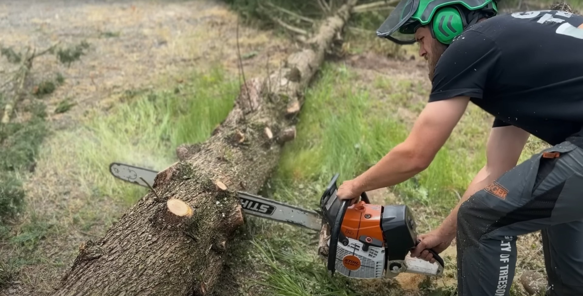 Professional arborist using chainsaw for precision tree cutting in residential area