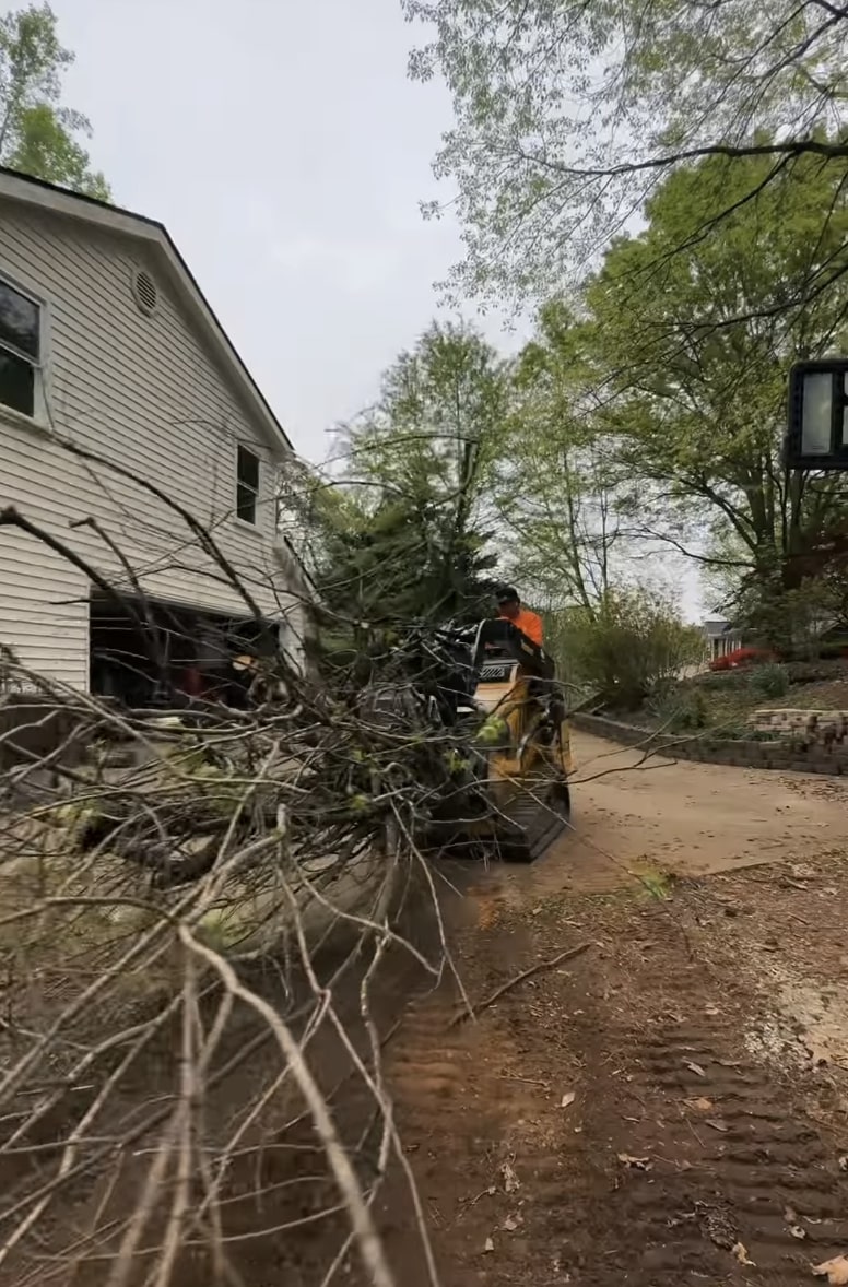 Storm damage cleanup and emergency tree removal services