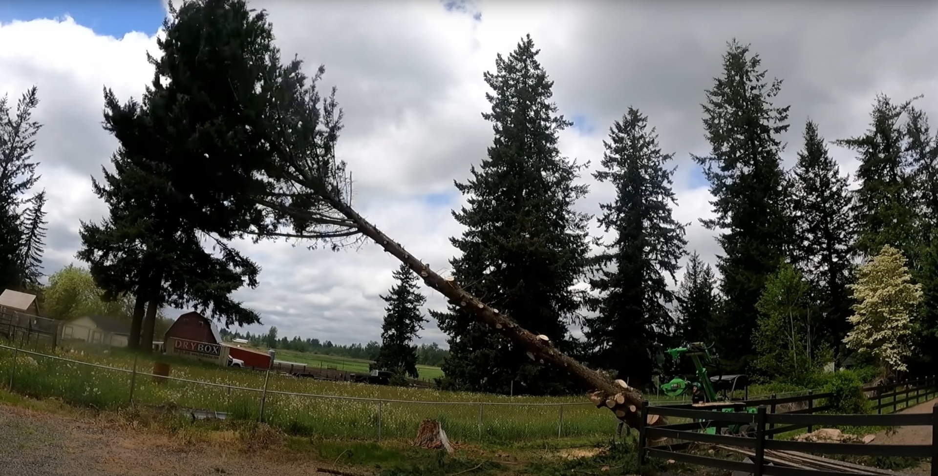 Safe tree removal using specialized equipment and certified arborists Professional tree removal equipment and crew in Blaine, MN