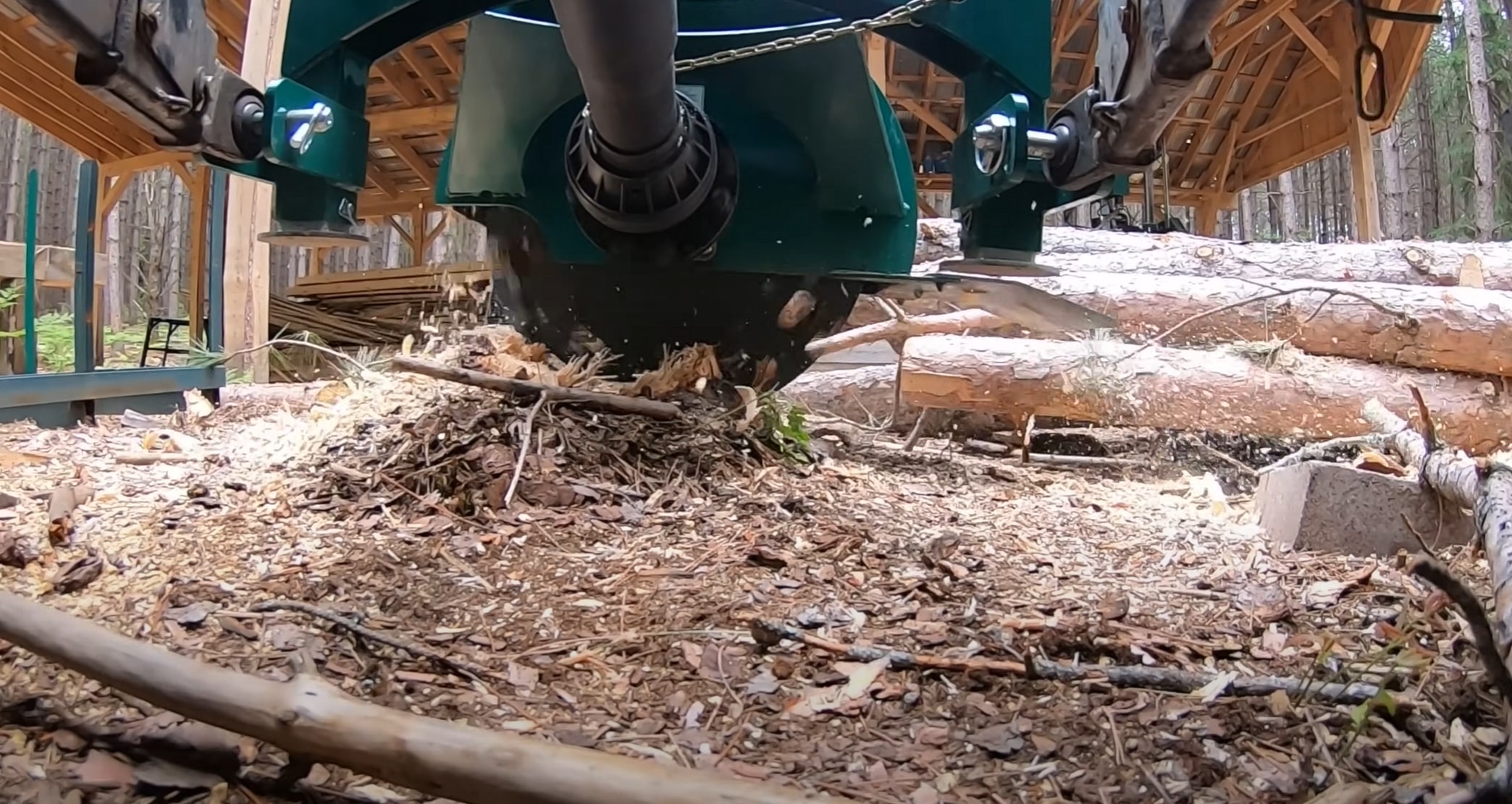 Stump grinding machine removing tree stump in Blaine yard